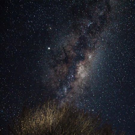 Away With The Fairies Nature Lodge And Backpackers Hogsback Bagian luar foto