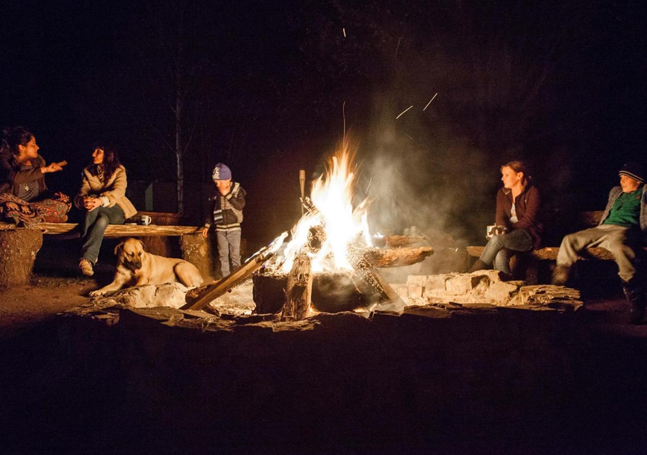 Away With The Fairies Nature Lodge And Backpackers Hogsback Bagian luar foto