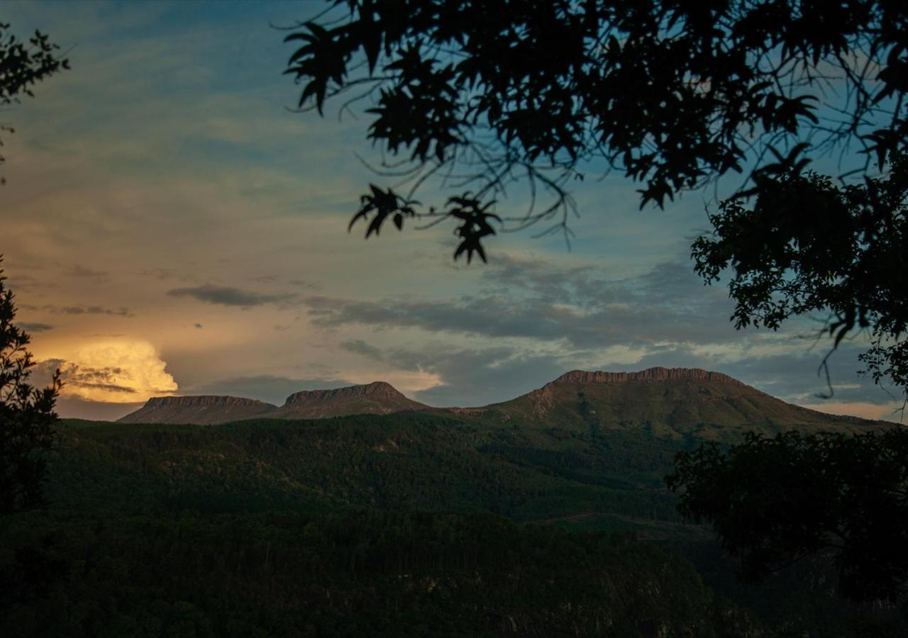 Away With The Fairies Nature Lodge And Backpackers Hogsback Bagian luar foto